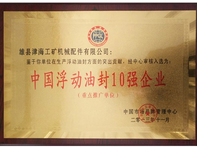 中國(guó)浮動(dòng)油封10強(qiáng)企業(yè)